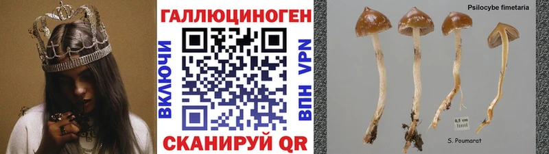 Псилоцибиновые грибы MAGIC MUSHROOMS  Чита 